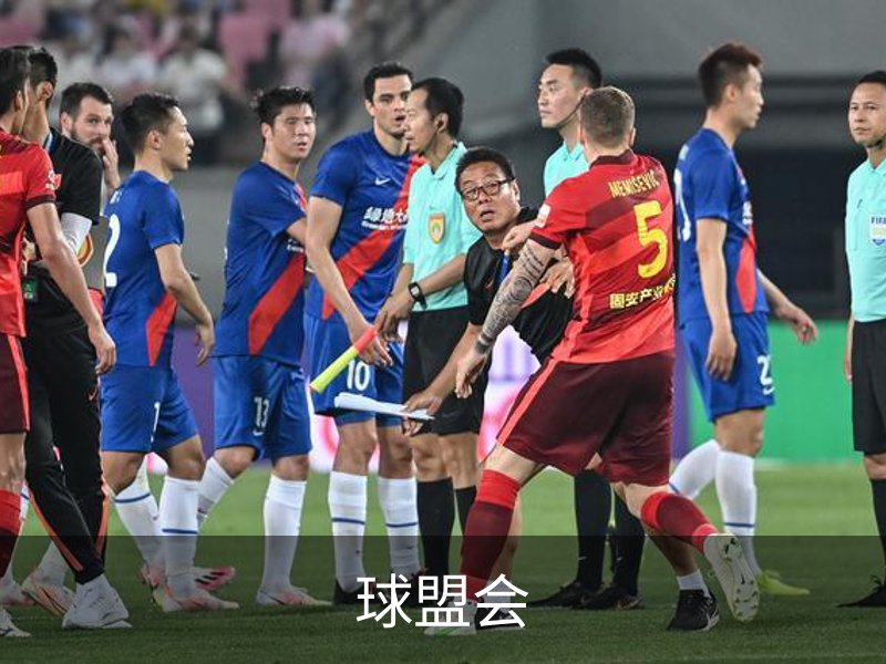 球盟会概况